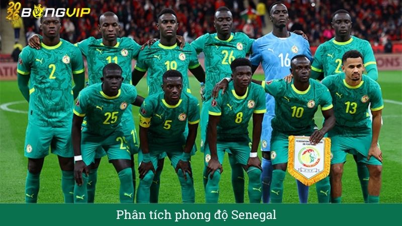 Phân tích phong độ senegal