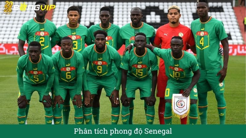 Phân tích phong độ Senegal