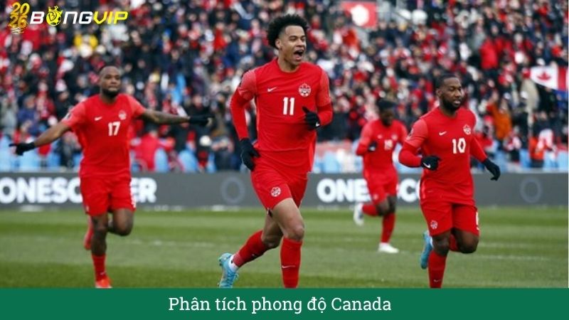 Phân tích phong độ Canada