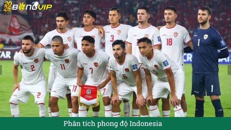 Phong độ Đội tuyển Indonesia