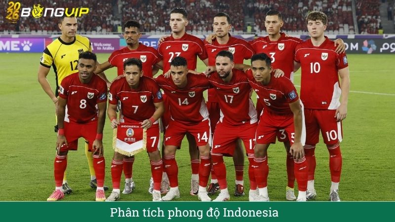 Phong độ Đội tuyển Indonesia
