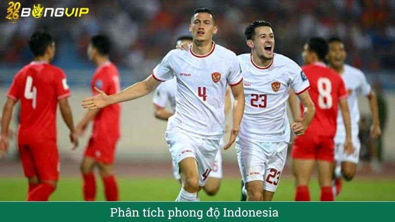 Phong độ Đội tuyển Indonesia