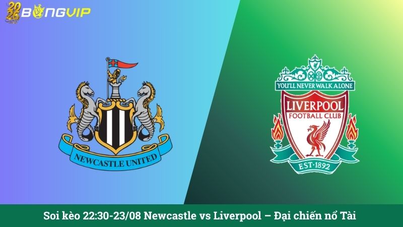 Soi kèo 22:30-23/08 Newcastle vs Liverpool – Đại chiến nổ Tài