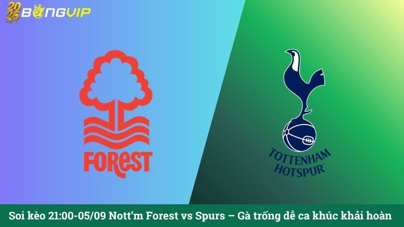 Soi kèo 21:00-05/09 Nott'm Forest vs Spurs – Gà trống dễ ca khúc khải hoàn