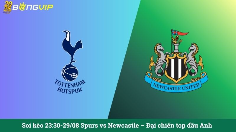 Soi kèo 23:30-29/08 Spurs vs Newcastle – Đại chiến top đầu Anh