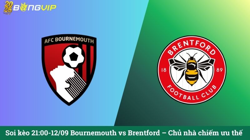 Soi kèo 21:00-12/09 Bournemouth vs Brentford – Chủ nhà chiếm ưu thế